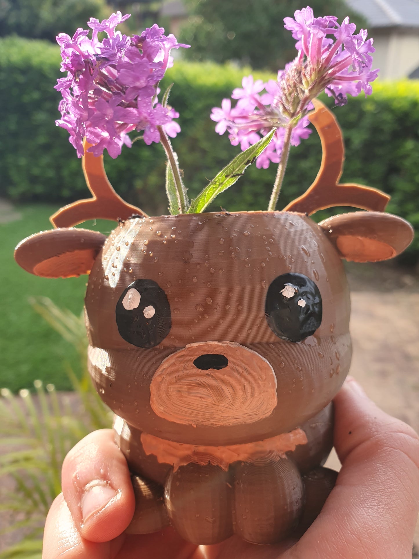 Reindeer Pot Plant