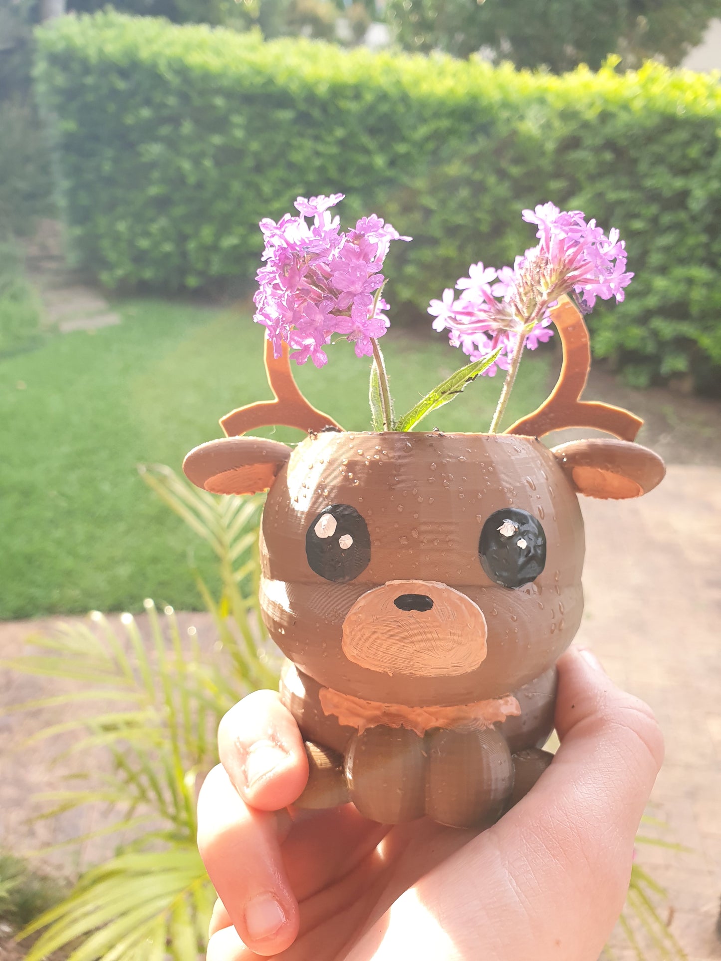Reindeer Pot Plant